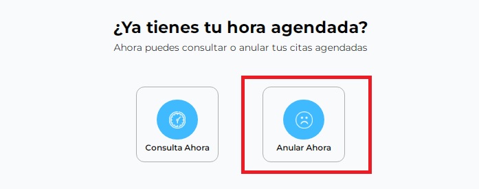 Anular hora de cita inmunomédica