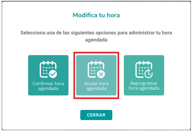 anular hora agendada en redsalud