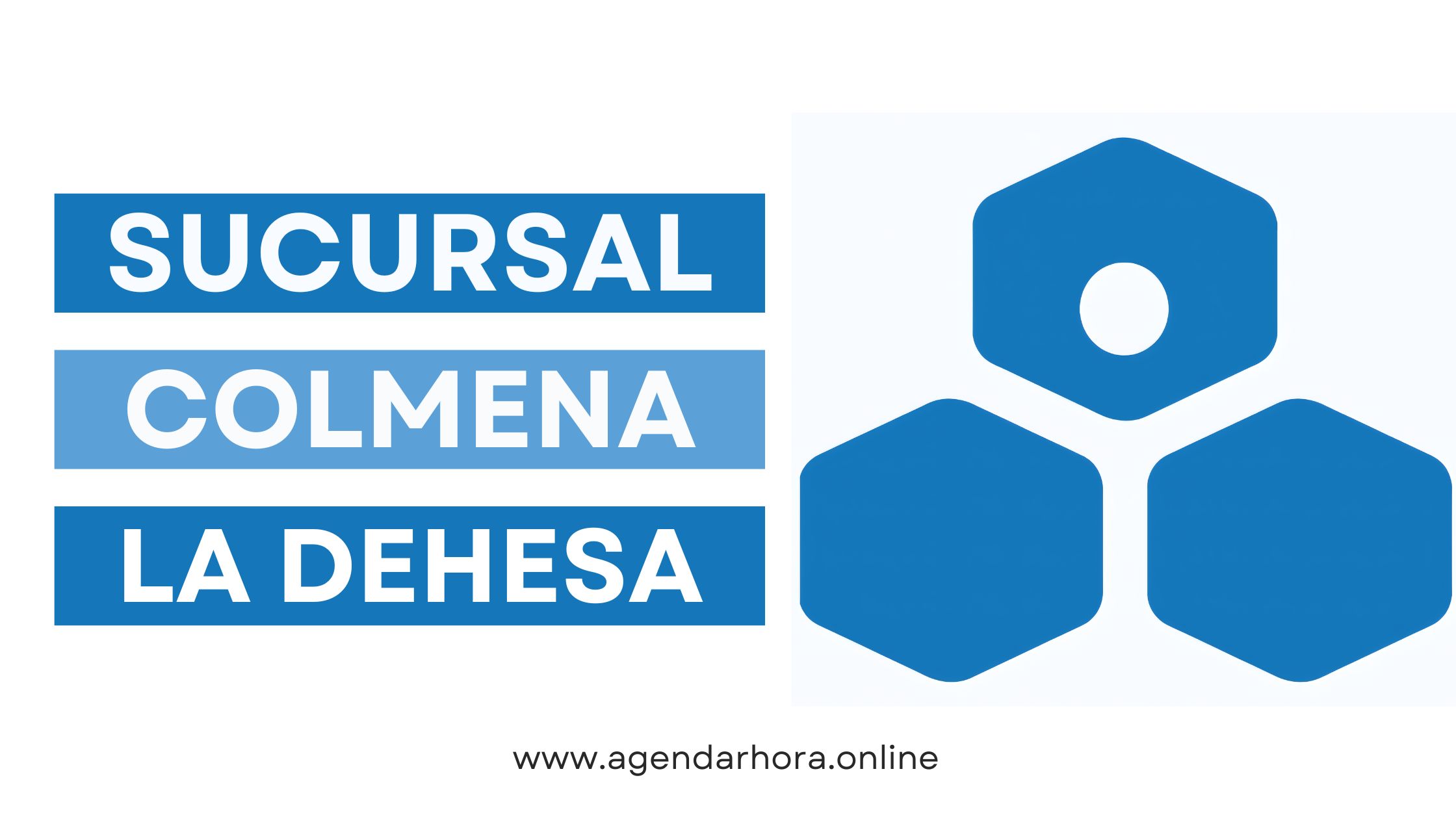 Reservar Hora Colmena La Dehesa