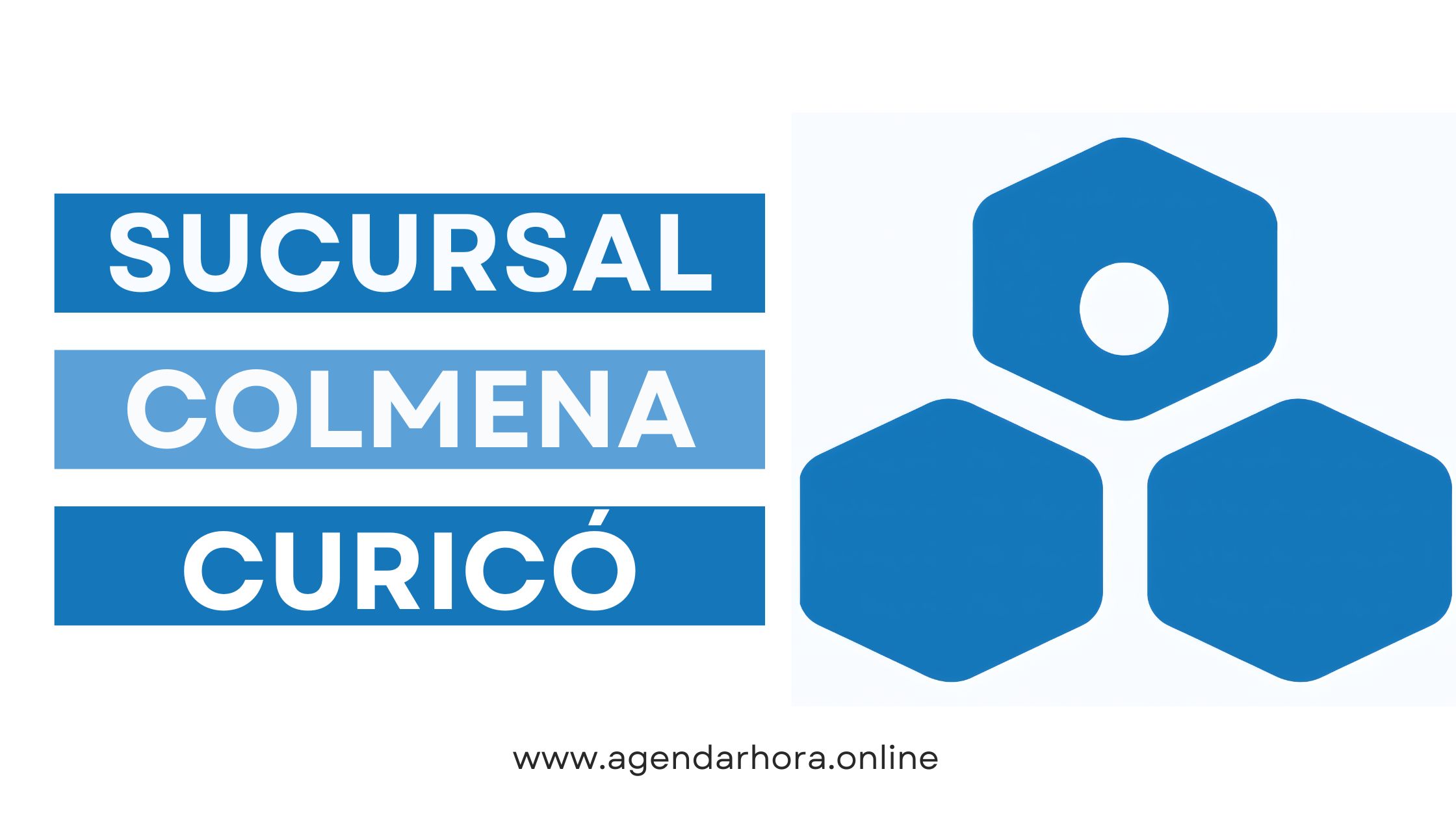 Reservar hora Colmena Curicó