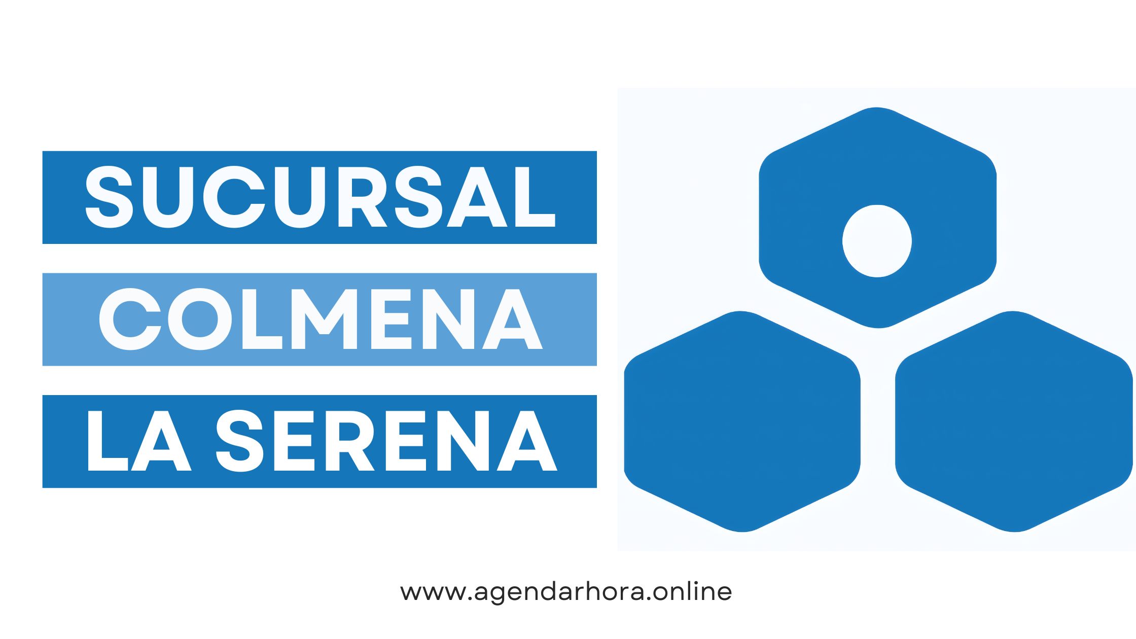 Reservar hora Colmena La Serena