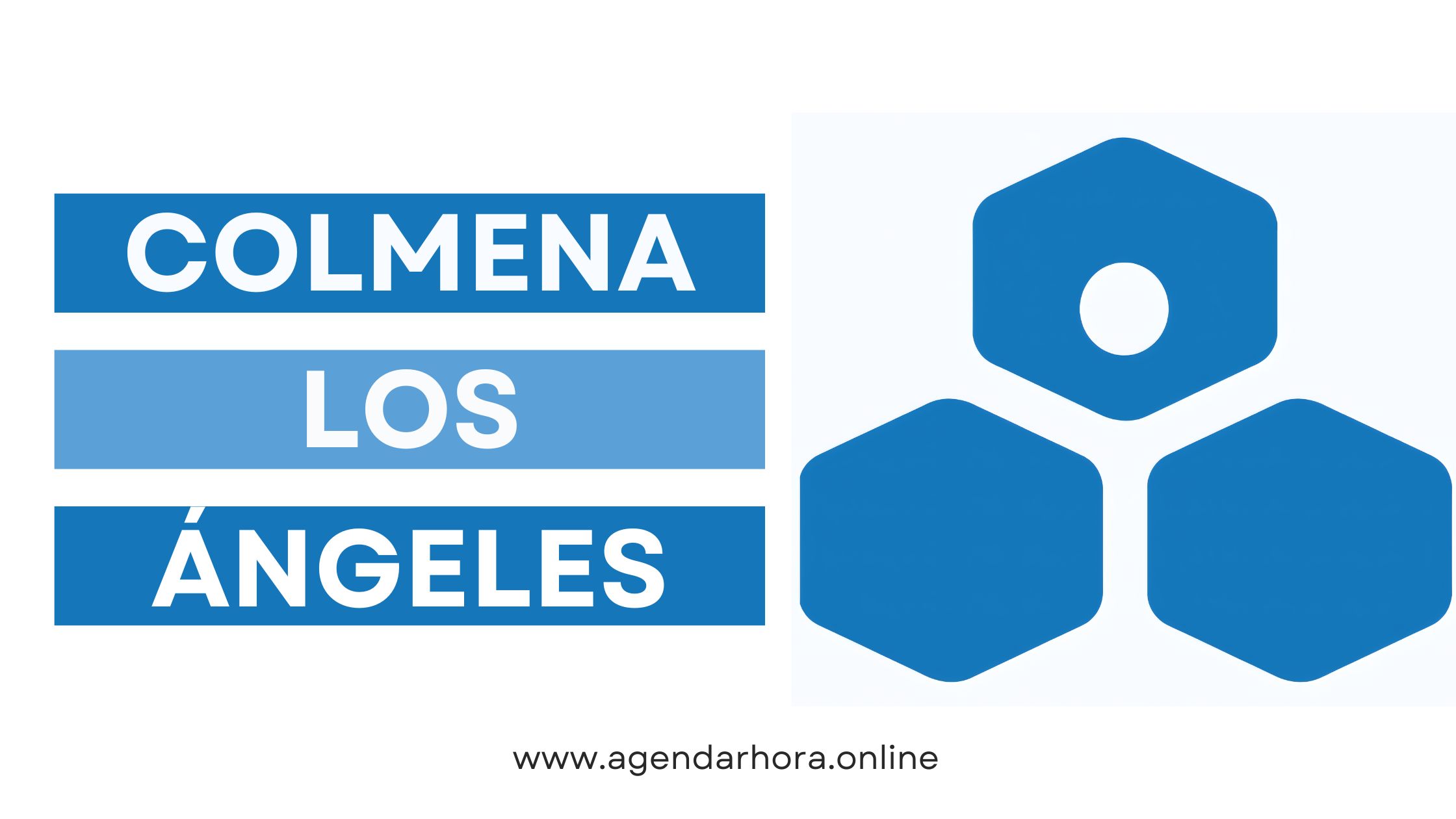 Reservar hora Colmena Los Angeles