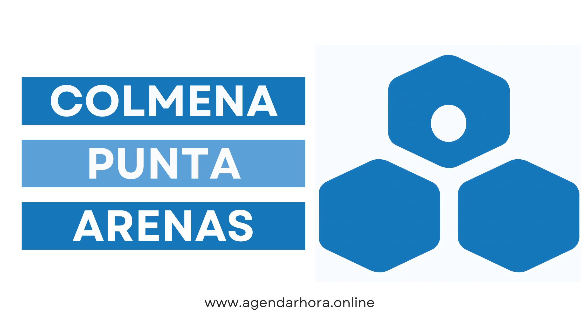 Reservar hora Colmena Punta Arenas