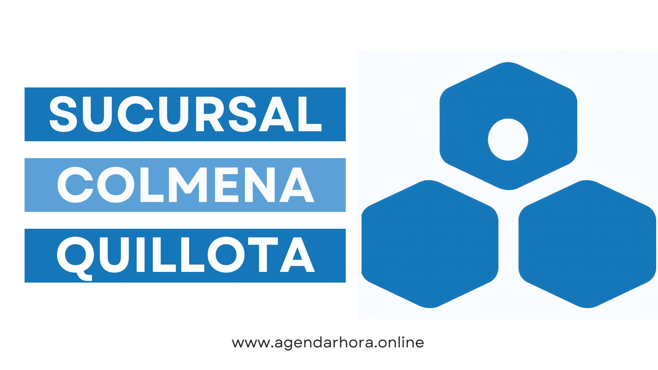 Reservar hora Colmena Quillota